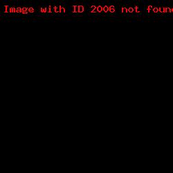 Sorry, you have not enough rights to view this image.