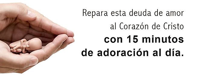 Repara el aborto horizontal